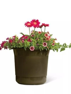 Eezy Gro Self-Watering Planters 10 Eezy Gro Self-Watering Planters -Garden Care Shop 8596427 108 tif