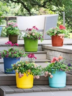 Front Page 28 Eezy Gro Self-Watering Planters