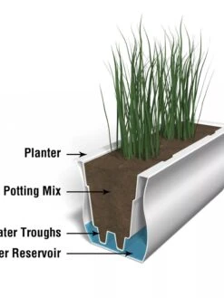 Valencia Window Box, 4' 13 Valencia Window Box, 4' -Garden Care Shop 8596436 17V tif 1