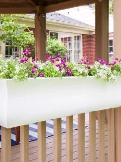 Valencia Window Box, 4' 9 Valencia Window Box, 4' -Garden Care Shop 8596437 006V tif