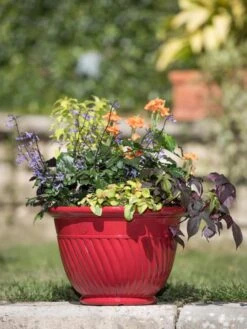 Mazzano Self-Watering Planters 11 Mazzano Self-Watering Planters -Garden Care Shop 8596564 4883 tif