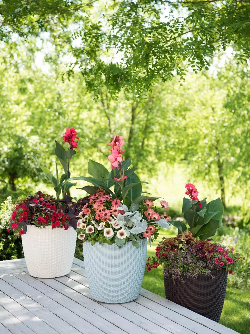 Weave Self-Watering Round Planter, 14" 2 Weave Self-Watering Round Planter, 14" - Image 2