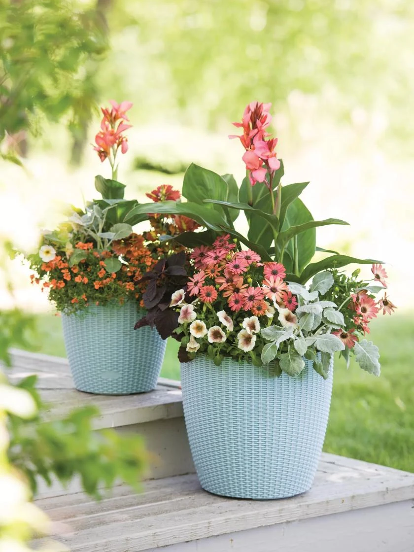 Weave Self-Watering Round Planter, 14" 1 Weave Self-Watering Round Planter, 14"