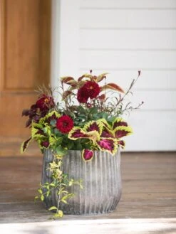 Galvanized Ribbed Planters -Garden Care Shop 8597435 1693 tif