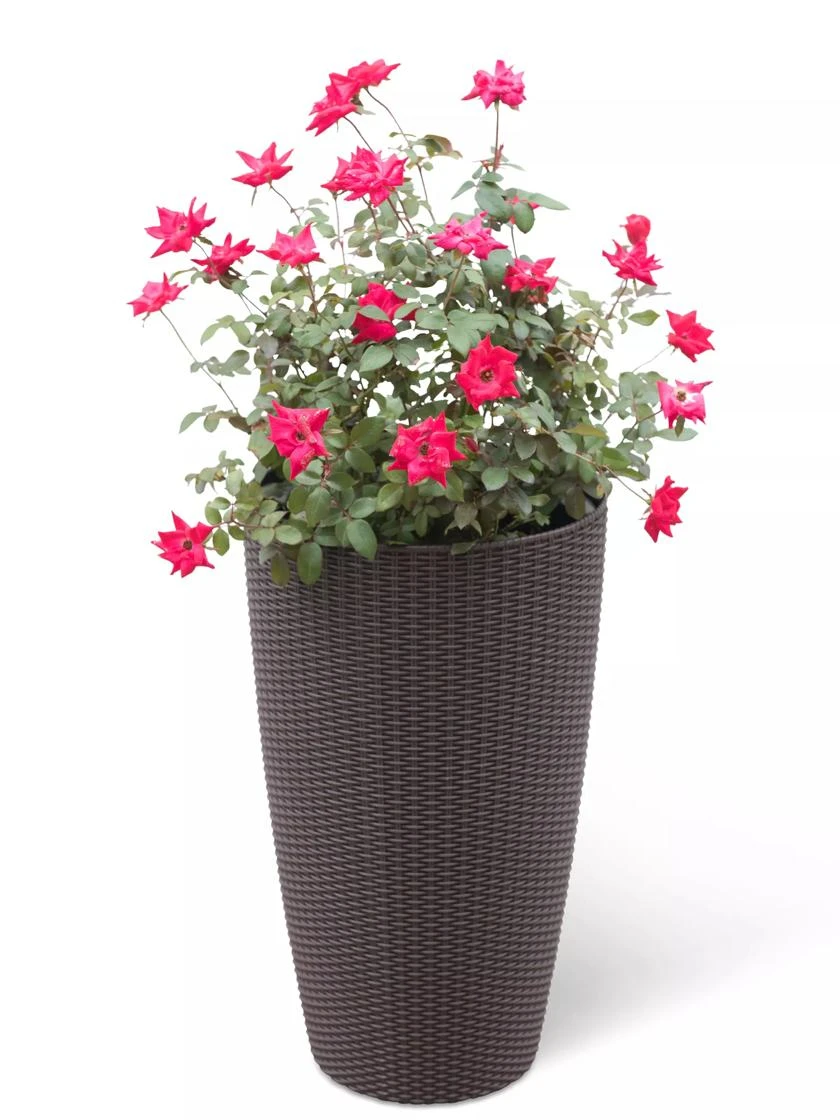Weave Self-Watering Round Tall Planter, 12-1/2" 1 Weave Self-Watering Round Tall Planter, 12-1/2"