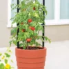 Gardener’s Victory Self-Watering Planter With Support System