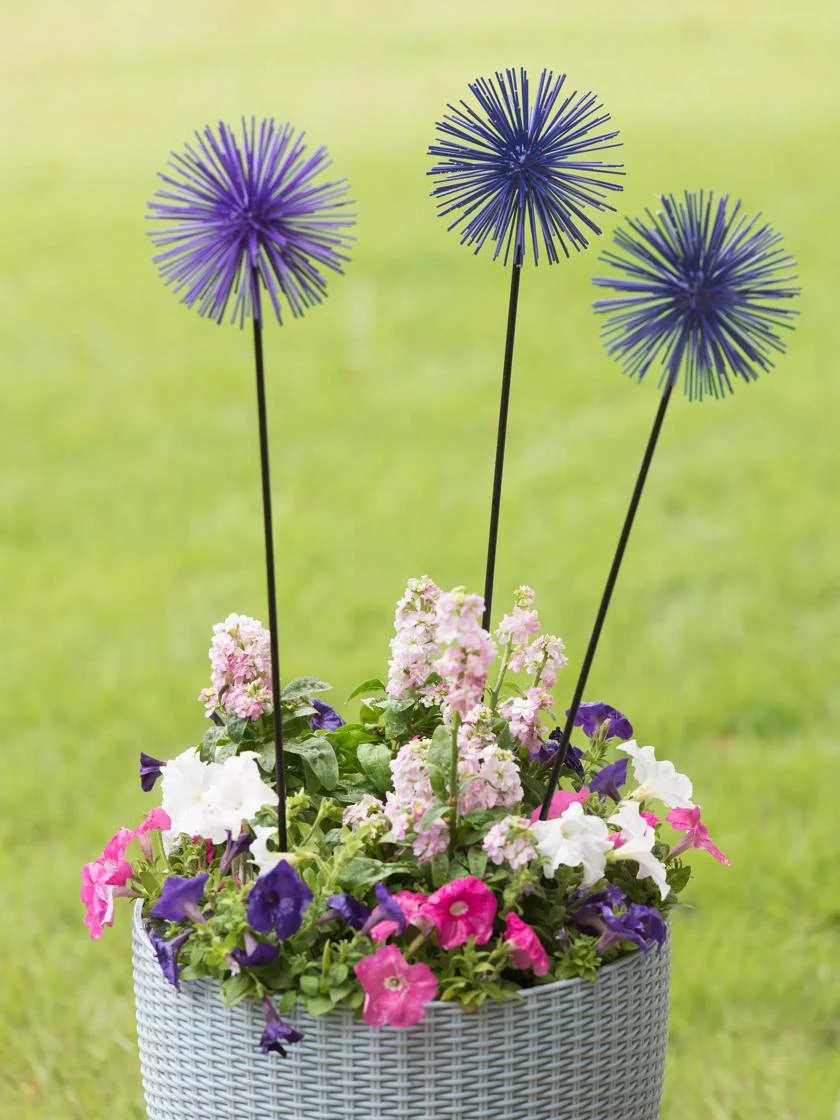 Everbloomin' Alliums, Set Of 3 1 Everbloomin' Alliums, Set Of 3