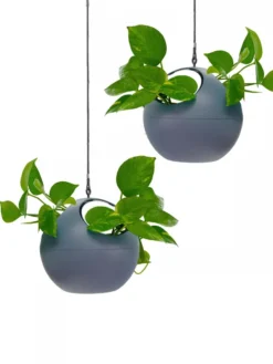Exaco Euro Hanging Planters, Set Of 2 7 Exaco Euro Hanging Planters, Set Of 2 -Garden Care Shop 8599179 04V tif