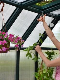 Canopia® By Palram Hobby Gardener Greenhouse, 8' 21 Canopia® By Palram Hobby Gardener Greenhouse, 8' -Garden Care Shop 8599331 04V tif