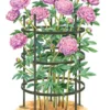 Titan Peony Supports, Large, Set Of 2