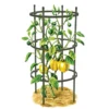 Titan Pepper Eggplant Cages, Set Of 3