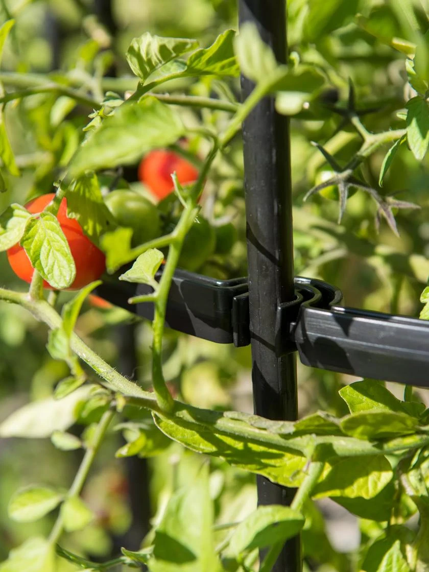 Titan Tomato Cages, Set Of 3 7 Titan Tomato Cages, Set Of 3 - Image 7