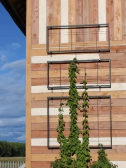 Front Page 26 Exeter Wall Trellis