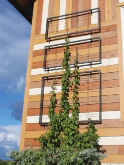 Exeter Wall Trellis 9 Exeter Wall Trellis -Garden Care Shop 8600049 7121 tif