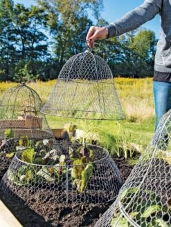 Chicken Wire Cloche With Extension 17 Chicken Wire Cloche With Extension -Garden Care Shop 8600116 0604 3 4