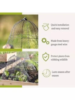 Chicken Wire Cloche With Extension 15 Chicken Wire Cloche With Extension -Garden Care Shop 8600116 3