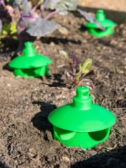 Slug And Snail Traps, Set Of 3 -Garden Care Shop 8600120 1788