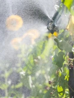 Landscape 4-Way Cooling Mist Kit, 50' 10 Landscape 4-Way Cooling Mist Kit, 50' -Garden Care Shop 8600154 0695 tif