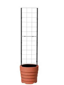 Gardener’s Victory Self-Watering Planter With Vine Trellis -Garden Care Shop 8600178 7000 tif