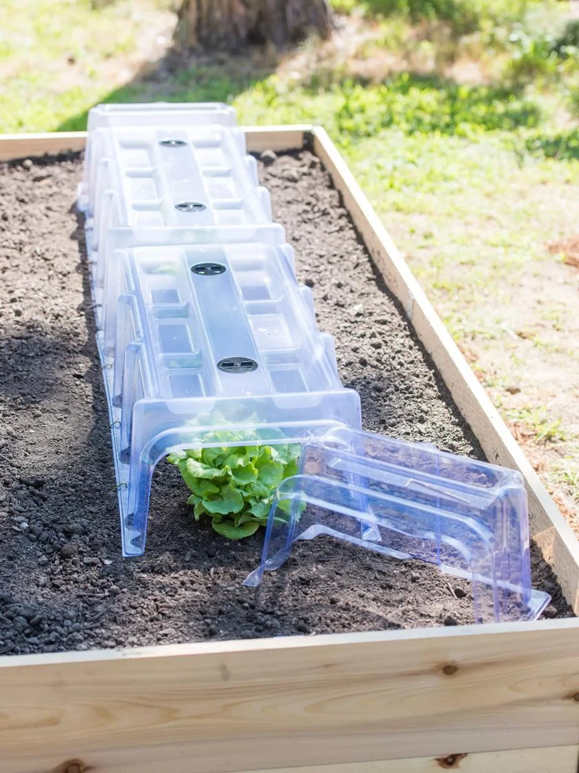 Cool Weather Row Cloches Set 2 Cool Weather Row Cloches Set - Image 2