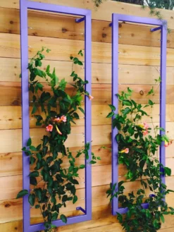 Ina Modern Wall Trellis Sr. 12 Ina Modern Wall Trellis Sr. -Garden Care Shop 8600510 07V tif