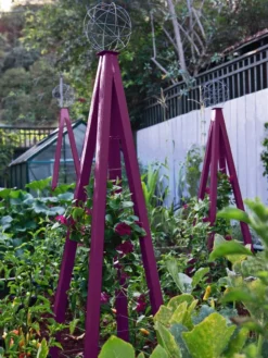 Akoris Garden Tuteur Jr. -Garden Care Shop 8600517 01V akoris garden tuteur tif