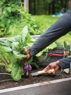 Gardener's Lifetime Hori Hori Knife -Garden Care Shop 8608888 0422 tif