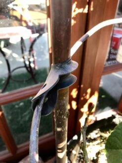 Garden Cane Connects, Set Of 6 -Garden Care Shop 8609019 03V tif