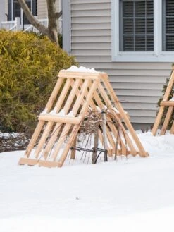 Cedar Shrub Guard 10 Cedar Shrub Guard -Garden Care Shop 8609071 3531 cedar shrub guard