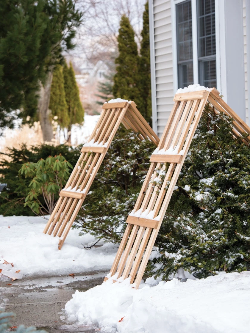 Cedar Shrub Guard 4 Cedar Shrub Guard - Image 4