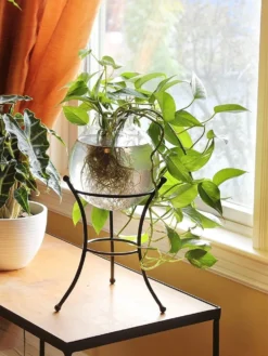 Achla Designs Multi Use Stand -Garden Care Shop 8609343 01v achla designs multi use stand