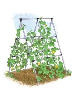 Front Page -Garden Care Shop 8610366 MP A Frame tif