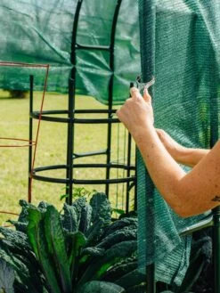 Maxi Garden Hoops With Clips -Garden Care Shop 8610372 368 tif