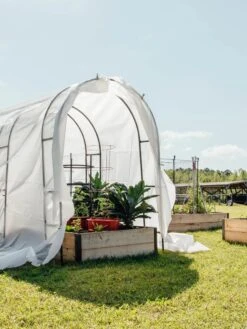 Maxi Garden Quilt -Garden Care Shop 8610373 373 tif