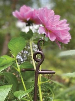 New Arrival -Garden Care Shop 8610375 5701 tif