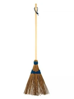 Front Page 37 Ultimate Coco Garden Broom