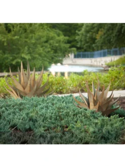 Desert Steel Sharkskin Agave Sculpture -Garden Care Shop 8610753 05v