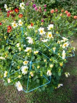 New Arrival -Garden Care Shop 8611129 004 tif