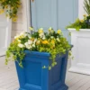 Fairfield Self-Watering Square Planter, 16” X 16”