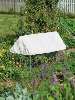Crop Coop Covers Set -Garden Care Shop 8611698 004 tif