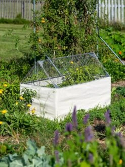 Crop Coop Covers Set -Garden Care Shop 8611698 005 tif