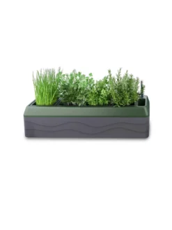 Provence Self-Watering Herb Planter -Garden Care Shop 8611965 03V tif