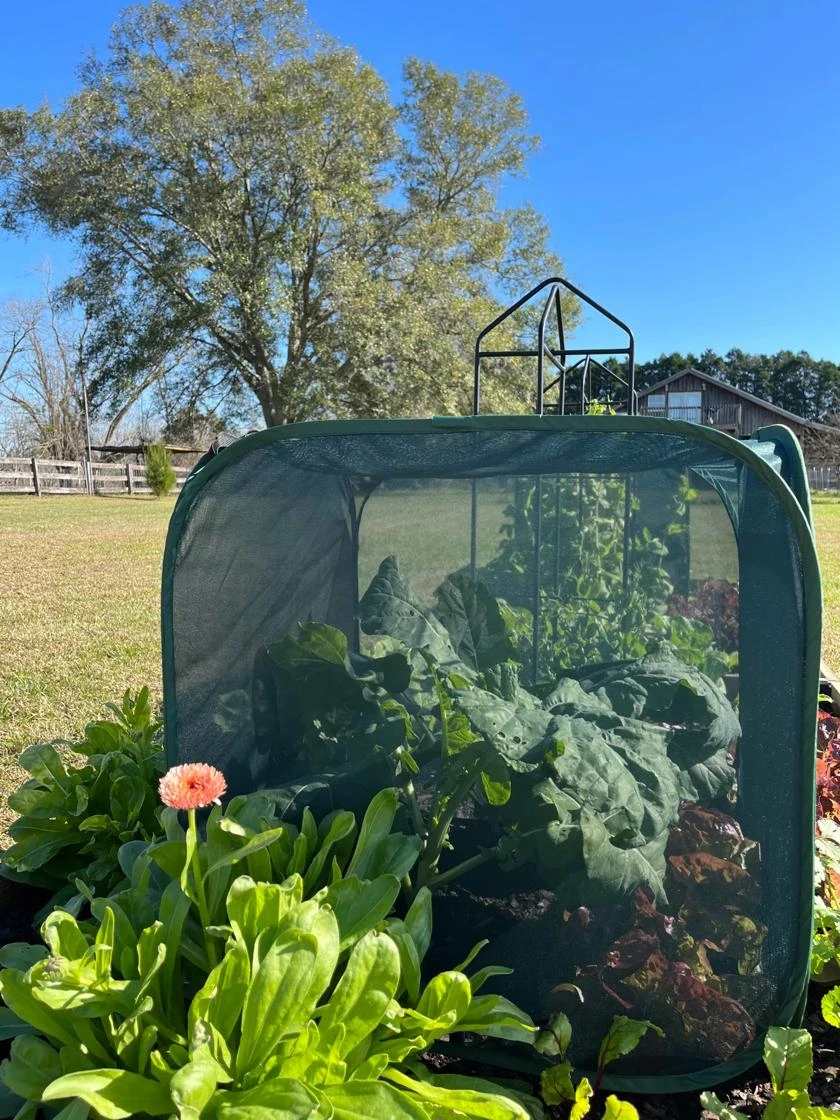 Pest Control Pop-Ups 2 Pest Control Pop-Ups - Image 2