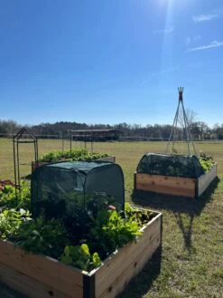 Pest Control Pop-Ups 13 Pest Control Pop-Ups -Garden Care Shop 8611989 05 tif