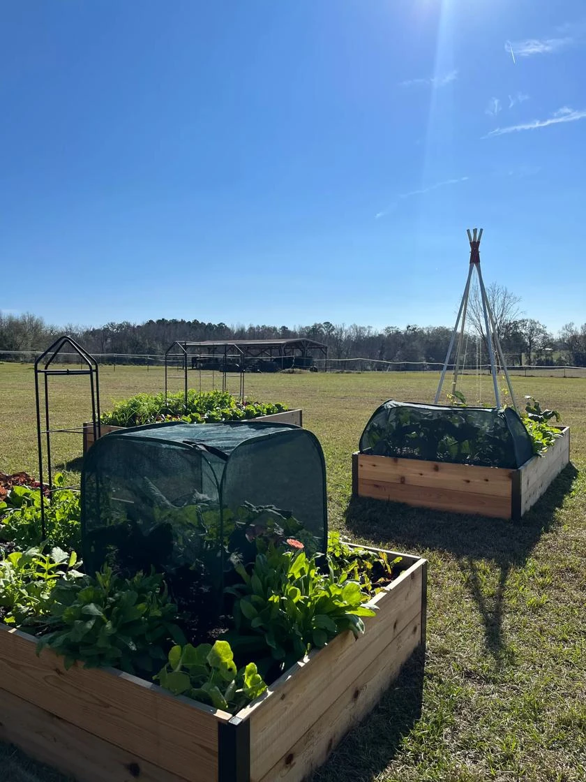 Pest Control Pop-Ups 6 Pest Control Pop-Ups - Image 6