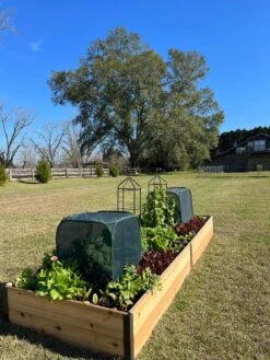 Pest Control Pop-Ups 12 Pest Control Pop-Ups -Garden Care Shop 8611989 08 tif