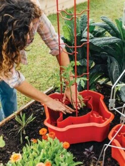 Deluxe Tomato Halos, Set Of 2 12 Deluxe Tomato Halos, Set Of 2 -Garden Care Shop 8612045 135 tif