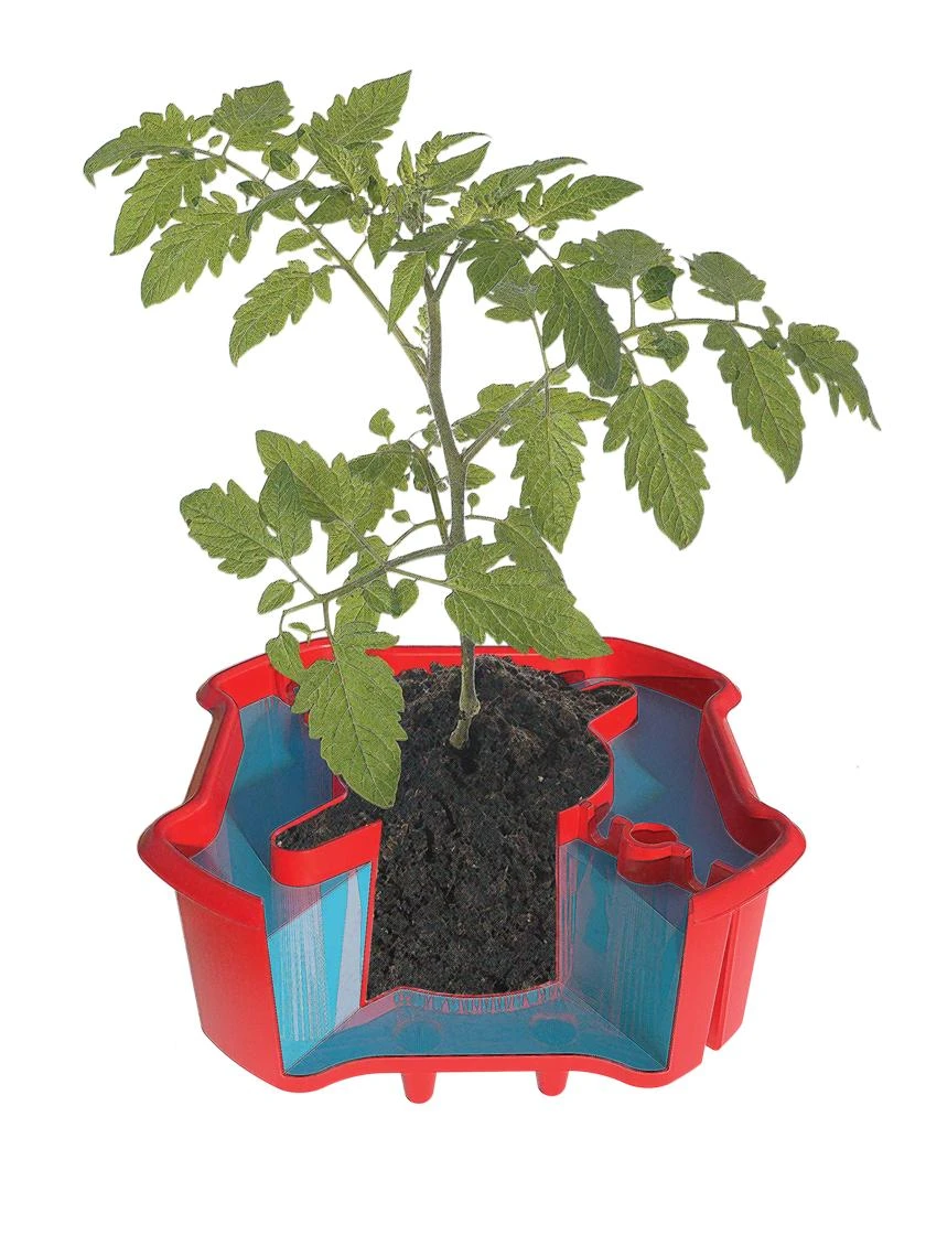 Deluxe Tomato Halos, Set Of 2 7 Deluxe Tomato Halos, Set Of 2 - Image 7