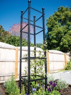 Front Page 12 Essex Square Obelisk