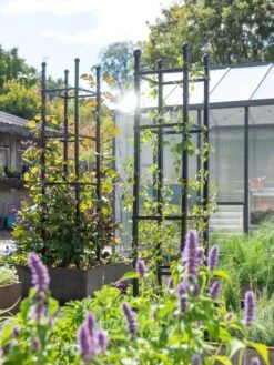 Front Page -Garden Care Shop 8612046 346 tif